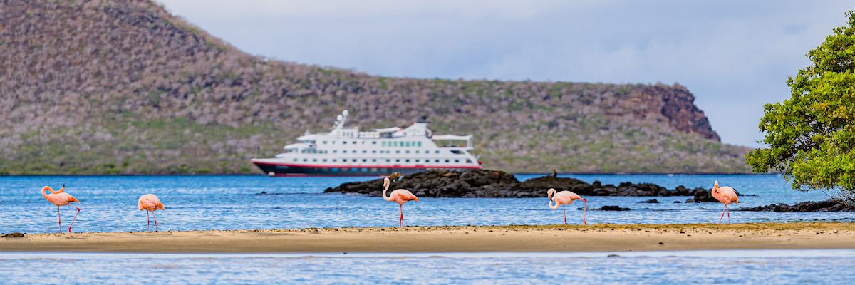 Économisez jusqu'à 3 500 $US sur les croisières HX Expedition 2024-2026 tout compris. - background banner